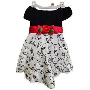 Youngland Size 2T Party Dress Embroidered Lined Velvet